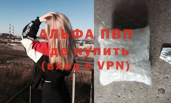 ешки Белокуриха
