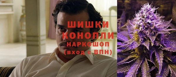 гидра Белоозёрский