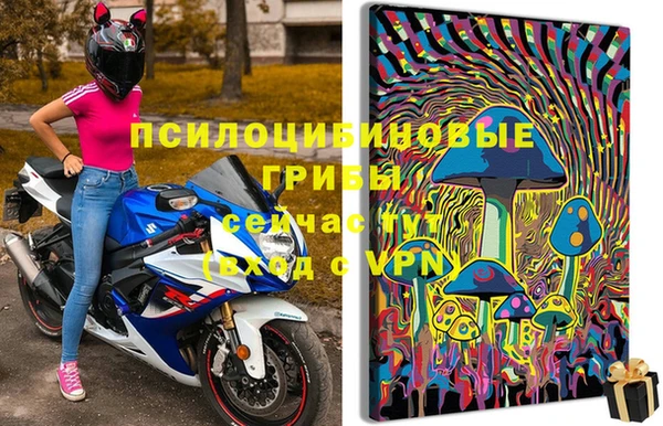 гидра Белоозёрский