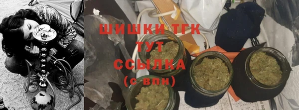 гидра Белоозёрский