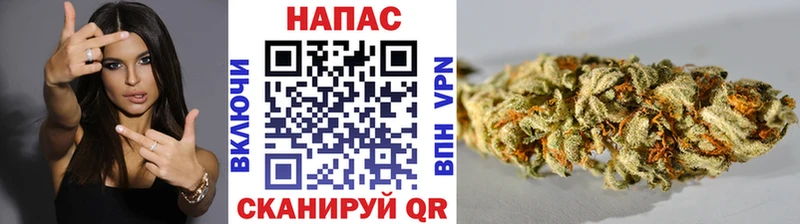 Бошки Шишки OG Kush где можно купить наркотик Кондрово